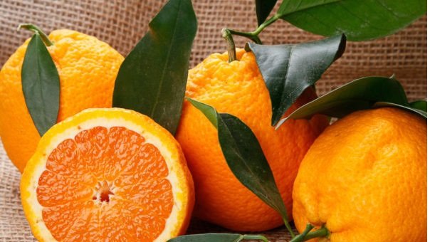 Allarme arance e clementine importate dall'estero