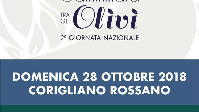 Corigliano Rossano, Camminata tra gli olivi domenica 28