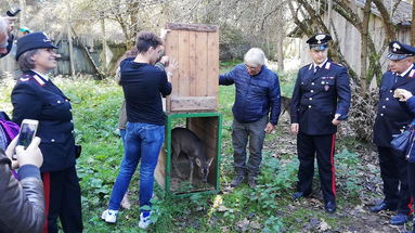 Carabinieri Forestali aprono le porte di ForestAmica 2018