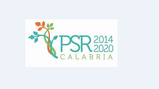 La Commissione Europea ha approvato le modifiche al PSR (Programma di Sviluppo Rurale della Regione Calabria)