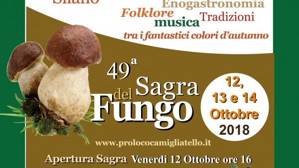 CAMIGLIATELLO,da oggi 12 ottobre la 49°sagra del fungo, Ottobre in Festa