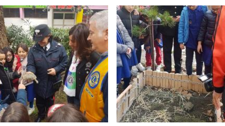 Carabinieri Forestale: partito progetto educazione ambientale “La Tartaruga va a Scuola”. Coinvolte scuole di Cosenza,Castrovillari e Cropalati
