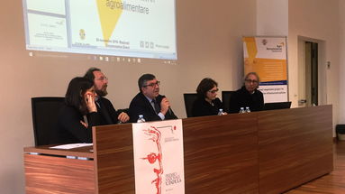 Regione, agricoltura: incontro in Cittadella sul progetto AgriRenaissance-Interreg Europe