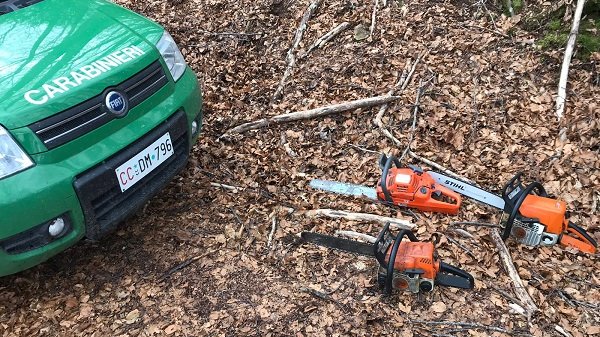 Carabinieri Regione Calabria, Cerzeto: 3 uomini fermati per furto legna