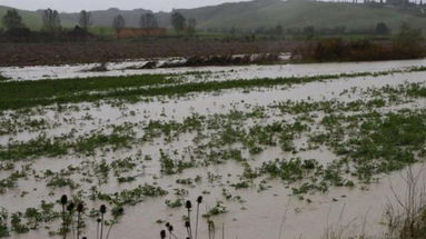 Calabria: danni agricoltura 2015/2017, concluso primo livello istruttorio