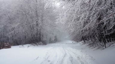 Capodanno con la neve in Sila, Pollino e Aspromonte