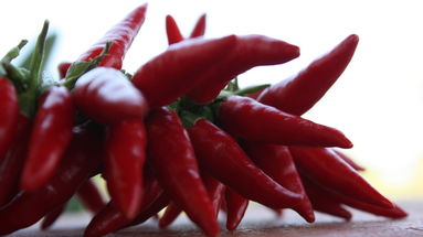 Il peperoncino made in Calabria approda al Festival di Sanremo