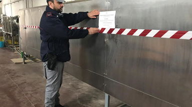 Mangimi senza autorizzazione, sequestrato opificio a Montalto