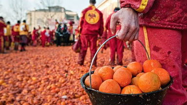 Battaglia di clementine? A Carnevale ogni provocazione vale