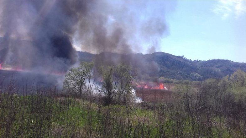 Incendio in corso a Tarsia