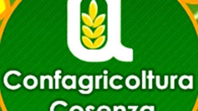 Confagricoltura Cosenza chiede che le imprese agricole vengano tenute in considerazione