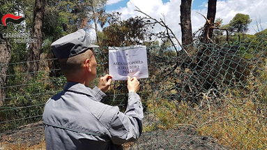 Carabinieri Forestale: controlli tra Cassano e Corigliano-Rossano