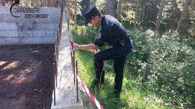 Carabinieri Forestale, Acri: tagli irregolari e abusivismo. Sequestri e denunce