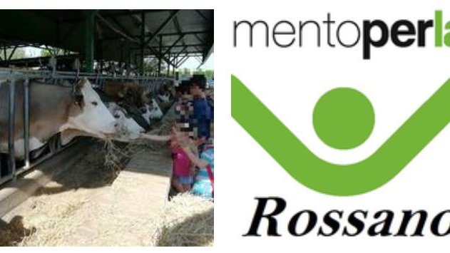 Movimento per la Vita Corigliano-Rossano: successo per l'iniziativa Bimbi in fattoria.Prossimi appuntamenti all'insegna dei valori e dei saperi