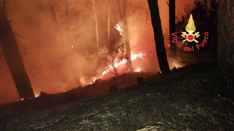 Corpo Nazionale dei Vigili del Fuoco Calabria: avvio della campagna antincendio boschivo 2019
