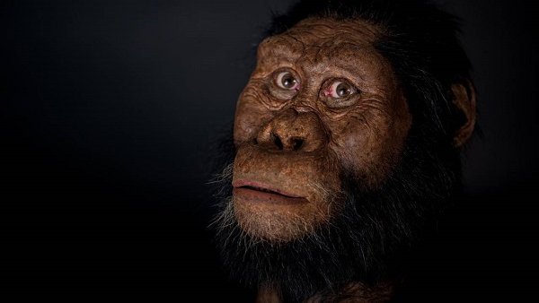 É il calabrese Antonino Vazzana, il ricercatore che ha contribuito alla ricostruzione in 3D del volto dell’antenato di Lucy