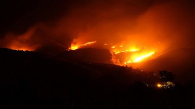 Un vasto incendio brucia le colline di Cassano