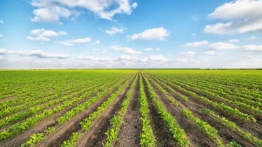 Corigliano, agricoltori si formano sui modelli operativi della nuova pac