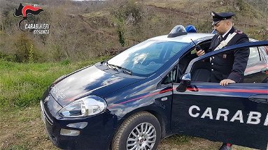 Carabinieri di Cosenza: operazione 