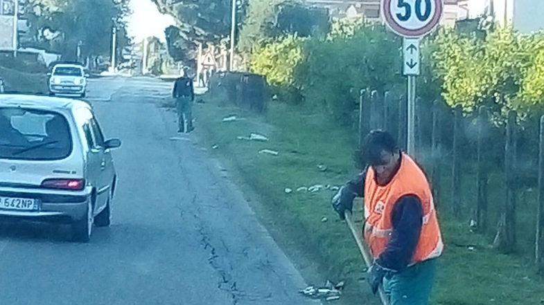 Città Pulita, proseguono gli interventi. Interventi verde pubblico su via Provinciale/Schiavonea