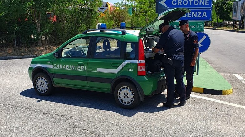 Controlli dei Carabinieri su oleifici di Corigliano Rossano, una denuncia per smaltimento illecito