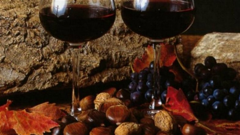 Coldiretti, stappato il vino novello, 18mila bottiglie prodotte in Calabria