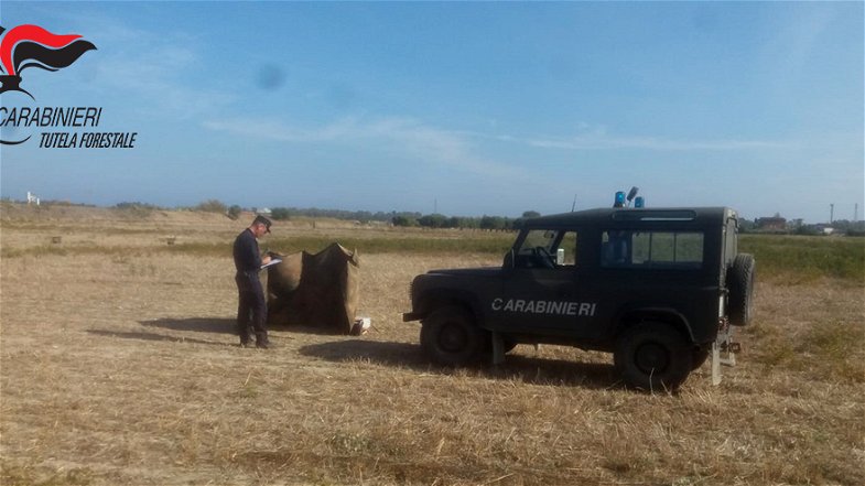 Villapiana, a caccia con richiami vietati.I Carabinieri Forestale denunciano tre persone