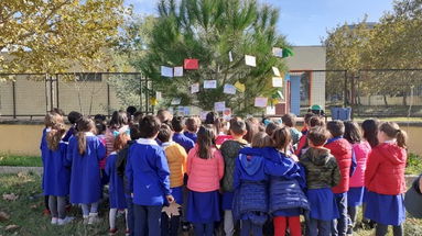 Alberi e bambini: rispetto, cure e attenzioni alla scuola primaria di Via Nazionale