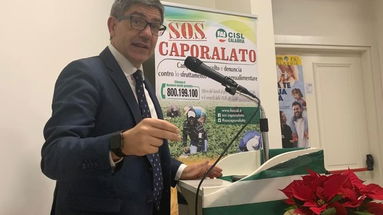 Lavoro, FAI CISL: “Vergognoso taglio in manovra su forestali”