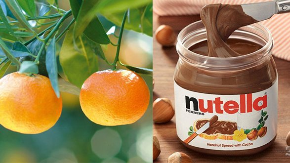 Il produttore rossanese che vende a Nutella: vi spiego come promuovere le clementine