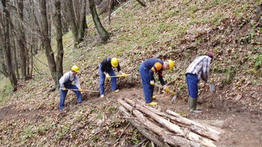 Contratto integrativo forestale, Sapia, Costa e Merlino: 