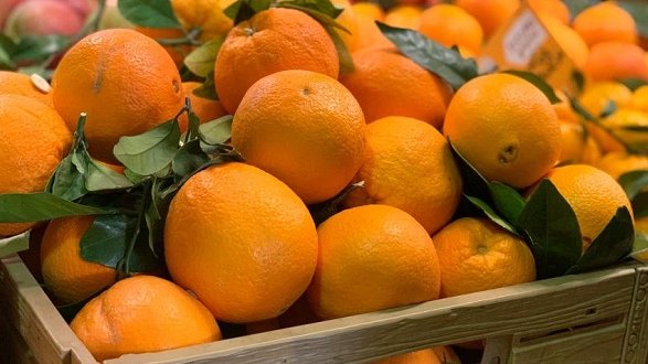 SOS influenza domani, sabato 25, è il vitamina C piace: le iniziative in Calabria