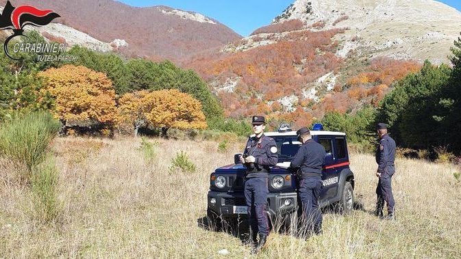 Parco Nazionale del Pollino: 42 incendi nel 2019. In fumo 535 ettari di superficie boscata