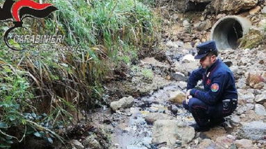 Smaltimento illecito nel torrente, denunciato proprietario di un frantoio