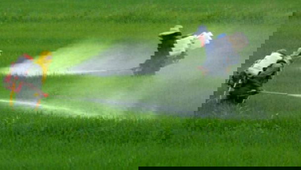 Glifosato in agricoltura. Consumatori calabresi preoccupati