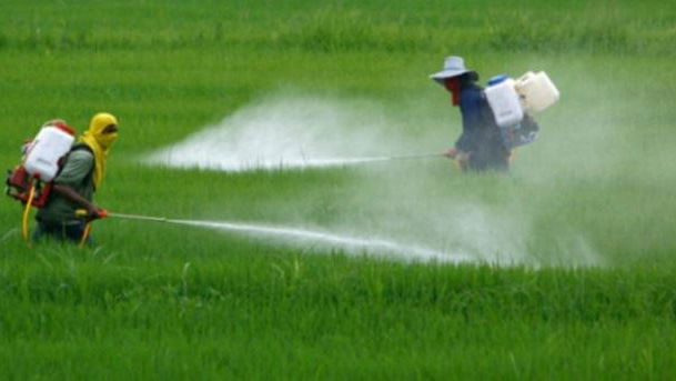 Glifosato in agricoltura. Consumatori calabresi preoccupati