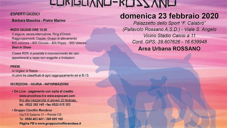 Corigliano Rossano, cinofilia: domenica 23 attesi i migliori cani di razza e con pedigree da tutto il Sud Italia