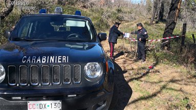 I Carabinieri forestale di Rossano sequestrano un bosco di proprietà comunale a Scala Coeli