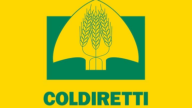 Coldiretti presenta il progetto per i diritti e il lavoro dei migranti