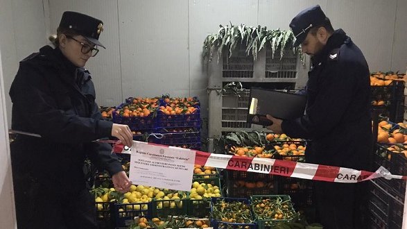 I Carabinieri sequestrano quattro tonnellate di agrumi, ortaggi e 485 litri di olio