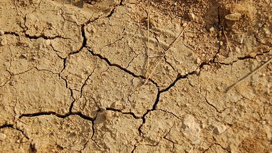 Questo è l’inverno più caldo di sempre, una sciagura per la Calabria