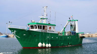 Comitato Pescatori Costieri: «Hanno preso un granchio con il settore pesca in ginocchio»