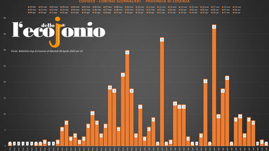 Covid-19: tutti i casi comune per comune. Ecco come si è esteso il focolaio Torano - TABELLA e GRAFICI