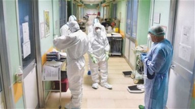 Coronavirus, in Calabria 733 contagi (+42). 4 nuovi decessi. In Provincia di Cosenza 8 nuovi casi