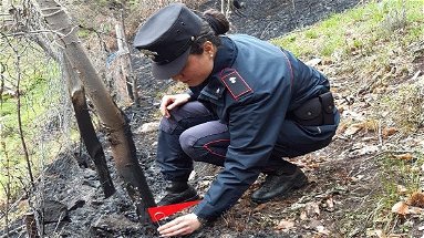 Incendio a Longobucco: denunciato dopo aver dato fuoco a residui vegetali