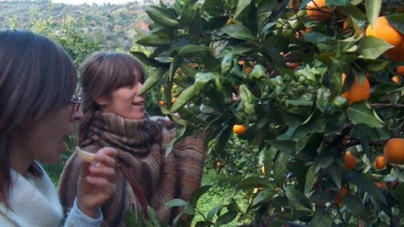 Cristiana e Marina Smurra, le sorelle degli agrumi: inventiamo lavoro a Sibari