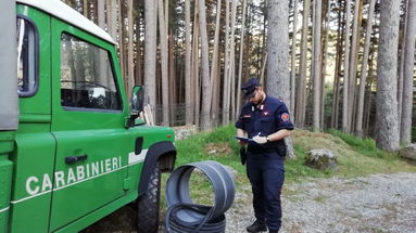 Proseguono senza sosta le attività di controllo dei Carabinieri Forestali nel Parco della Sila