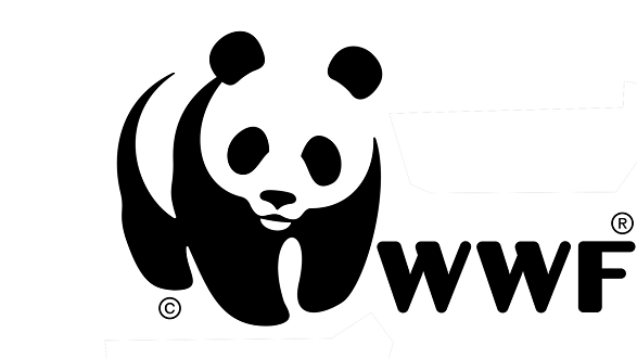 WWF Calabria: «Il rischio è che ritorni tutto peggio di prima»