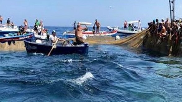 Pesca Tonno Rosso: cresce la quota riservata ai pescatori calabresi