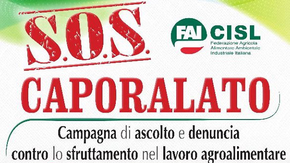 Caporalato in agricoltura: importante operazione Guardia di Finanza e Procura e Gip Castrovillari